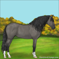 Horse Color:Grullo Roan 