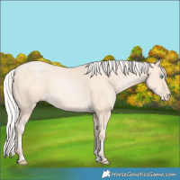 Horse Color:Silver Sable Cream Champagne Pearl 