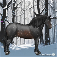 Horse Color:Brown Appaloosa