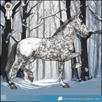Horse Color:Brown Appaloosa 