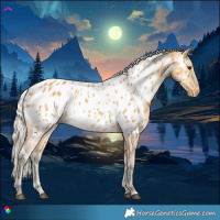 Horse Color:Silver Buckskin Appaloosa 