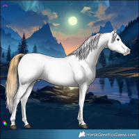 Horse Color:Buckskin Sabino Varnish 