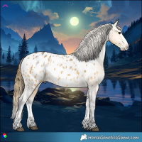 Horse Color:Buckskin Splash Appaloosa 