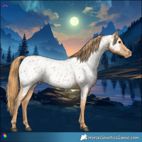 Horse Color:Chestnut Near Leopard 
