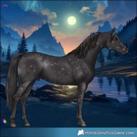 Horse Color:Smoky Black Rabicano 