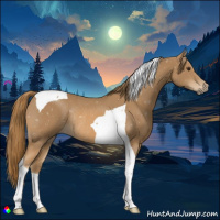 Horse Color:Chestnut Tobiano Rabicano 
