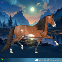 Horse Color:Bay Frame Rabicano 