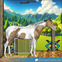 Horse Color:Classic Cream Champagne Tobiano