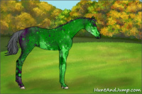 Horse Color:ERROR: UNKNOWN ANOMALY