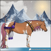 Horse Color:Painted Chestnut Tobiano 