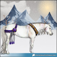 Horse Color:Gray Silver Bay Ice Onyx 
