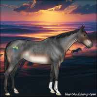 Horse Color:Brown Roan