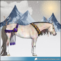 Horse Color:Nacre Buckskin Roan Onyx
