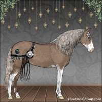 Horse Color:Silver Grullo Sabino 