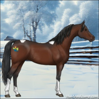 Horse Color:Bay Tobiano Rabicano 