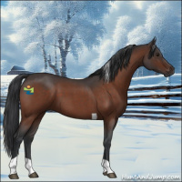 Horse Color:Brown Roan Tobiano 