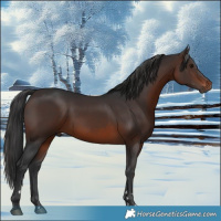 Horse Color:Brown 