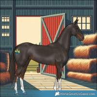 Horse Color:White Spotted Liver Chestnut 
