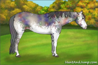 Horse Color:Nacre White Spotted Blue Onyx Rabicano 