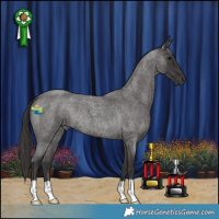 Horse Color:Smoky Blue Roan 