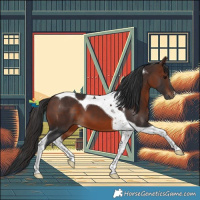Horse Color:Brown Tobiano 