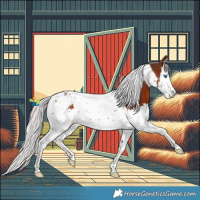 Horse Color:Silver Bay Splash Tobiano 