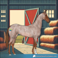 Horse Color:Red Roan 