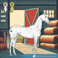 Horse Color:White Spotted Smoky Black Sabino 