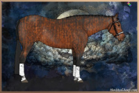 Horse Color:Buckskin Sabino and Gray Buckskin Rabicano