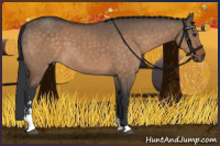 Horse Color:Brown Dun Sabino 