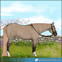 Horse Color:Liver Red Dun Brindle 