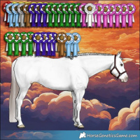 Horse Color:Liver Red Dun Appaloosa Brindle 