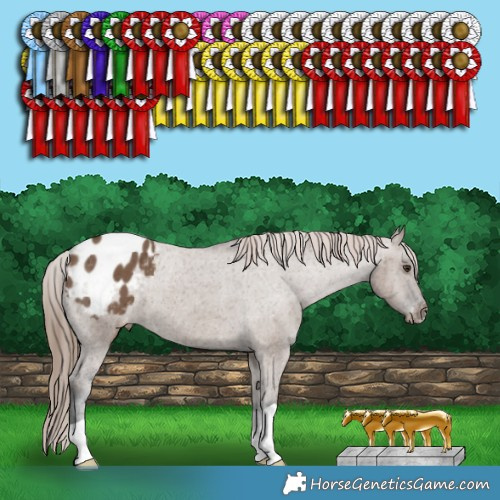 Horse Color:Liver Red Dun Appaloosa Brindle
