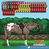Horse Color:Liver Red Dun Varnish Brindle 