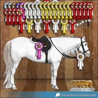 Horse Color:Liver Red Dun Appaloosa Brindle 