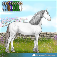 Horse Color:Liver Red Dun Varnish Brindle 