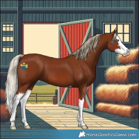 Horse Color:White Spotted Chestnut Splash 