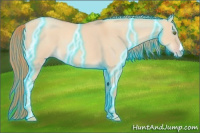 Horse Color:Thunderstruck Gold Champagne Dun 