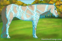 Horse Color:Thunderstruck Red Dun