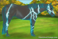 Horse Color:Thunderstruck Smoky Black 
