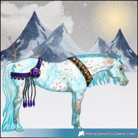 Horse Color:Thunderstruck Silver Bay Appaloosa