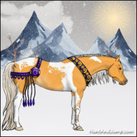 Horse Color:Silver Buckskin Tobiano Rabicano