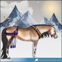 Horse Color:Bay Onyx Tobiano