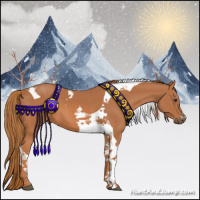 Horse Color:Chestnut Tobiano