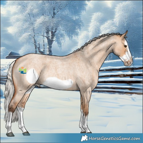 Horse Color:Silver Bay Roan Dun Splash Frame Rabicano 