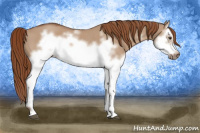 Horse Color:Red Dun Roan Splash Frame Rabicano 
