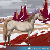 Horse Color:Liver Red Dun Roan 