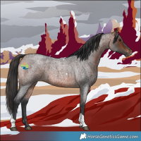 Horse Color:Bay Roan Tobiano 