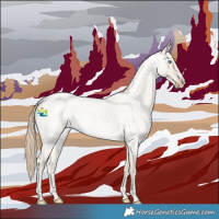 Horse Color:Smoky Creme Roan Dun 