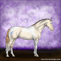 Horse Color:Gold Champagne Roan Dun Splash Tobiano Frame Appaloosa Rabicano